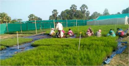 One of our Private CPCs: Appalaraju Nursery, Yadalavarivura, East Godavari District